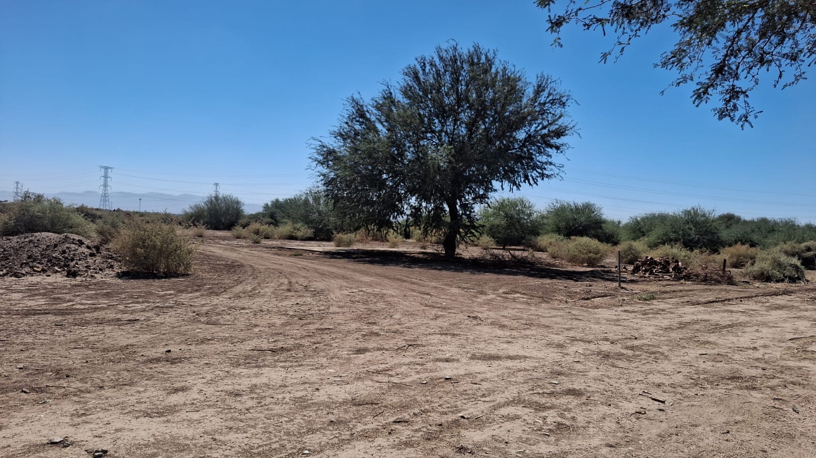 Vista del terreno en Ampliación Islas Agrarias