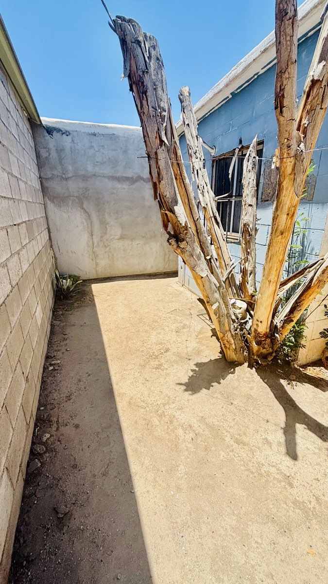 Jardín trasero, vista hacia la casa